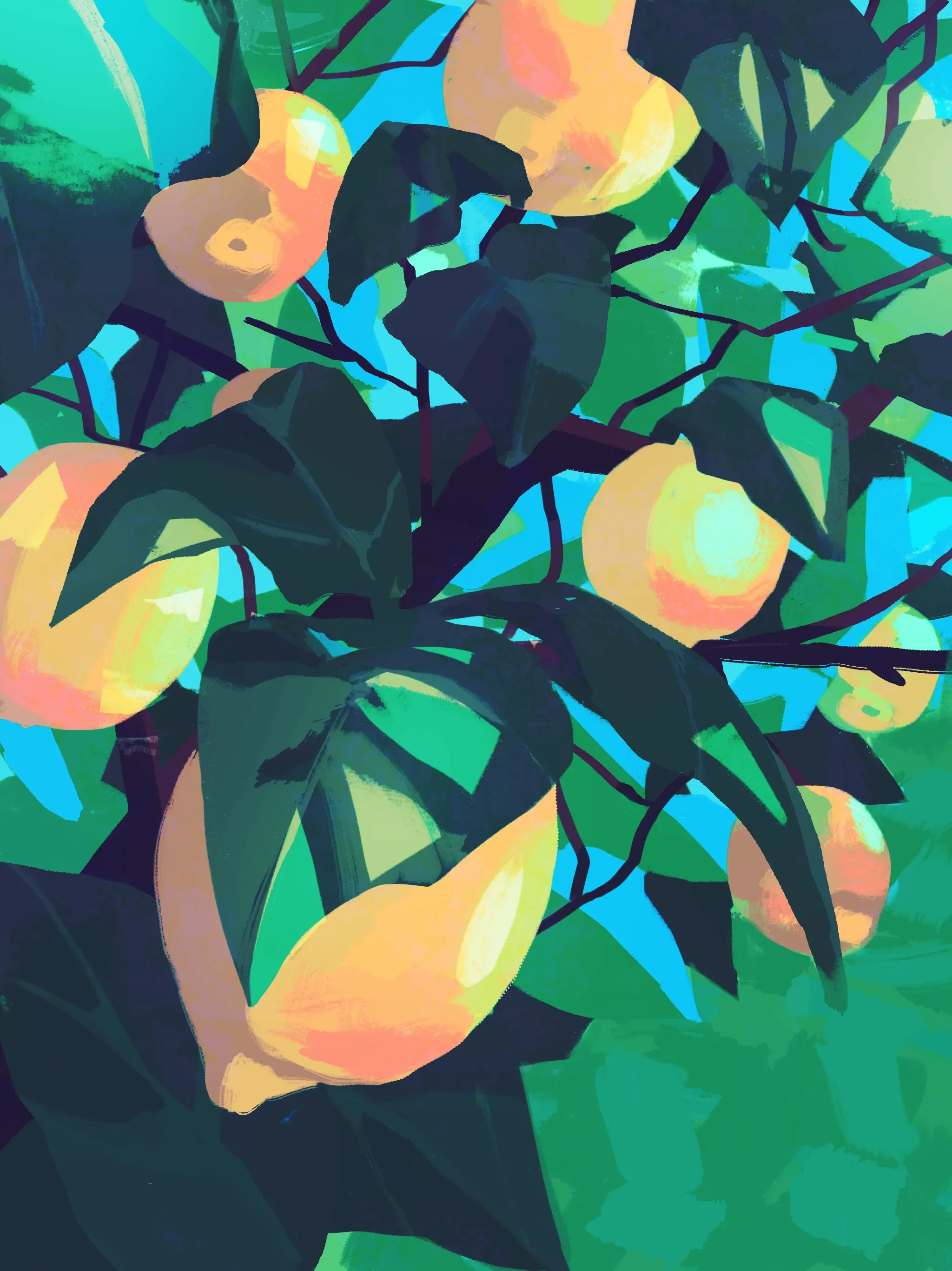 A woman picks lemons amid lush green foliage.